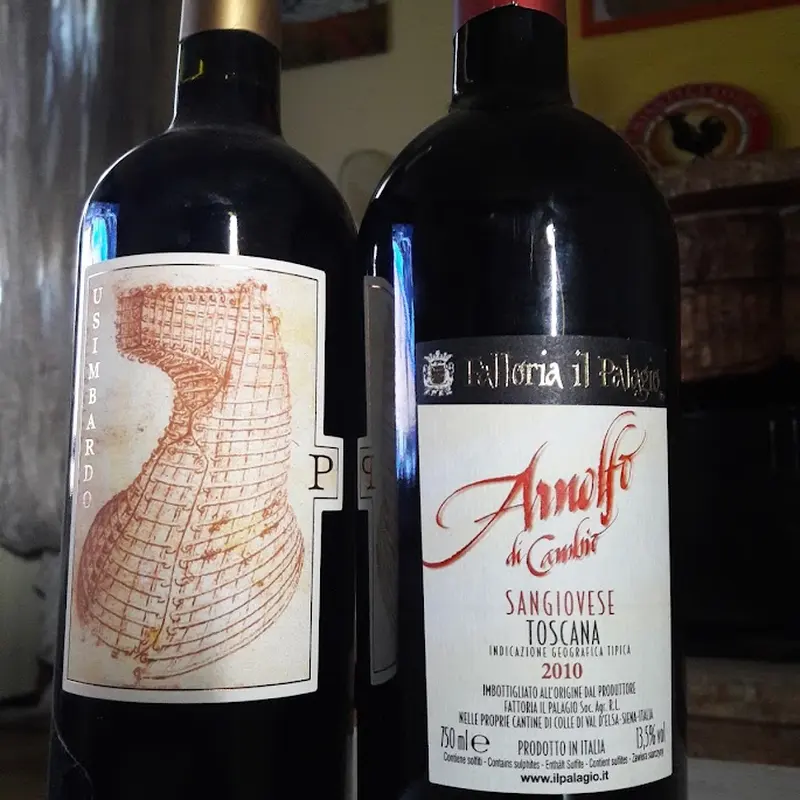 Le due bottiglie di Fattoria il Palagio: Usimbardo e Arnolfo di Cambio